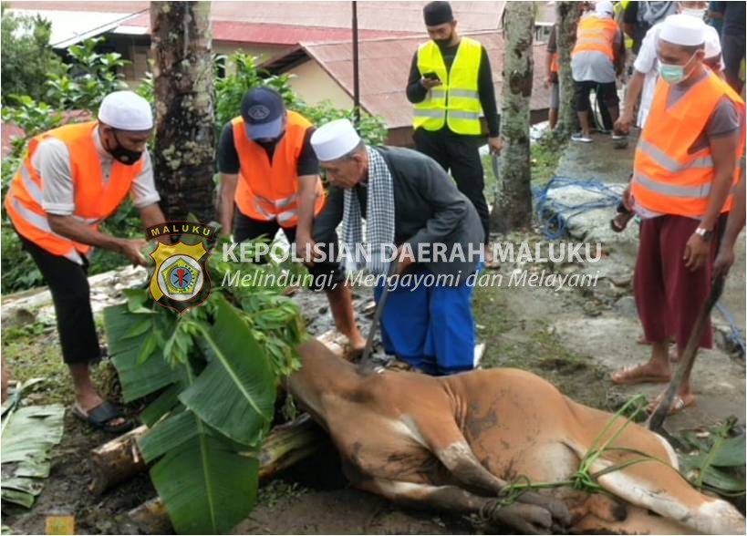 Polda Maluku Sembelih Hewan Kurban