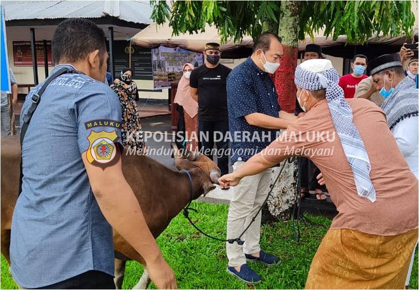 SPN Polda Maluku Berbagi Hewan Kurban