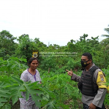 Polresta P. Ambon & P. P. Lease kegiatan pada Kampung Tangguh Nusantara