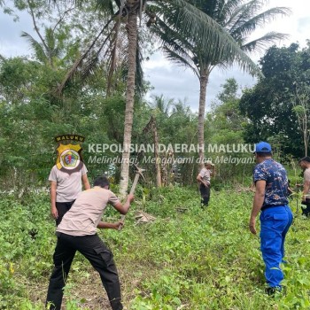 Polres SBB Bakal Tanami Ratusan Anakan Pohon di Desa Kawa