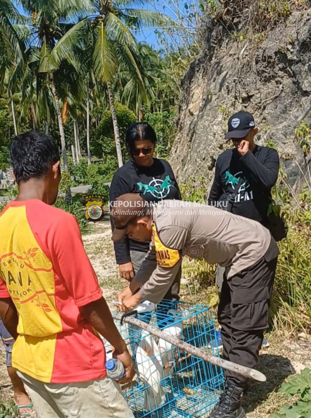 BHABINKAMTIBMAS DESA WAESALA BERSAMA BKSDA MALUKU MELAKUKAN PELEPASLIARAN SATWA DILINDUNGI