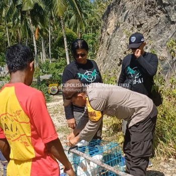 BHABINKAMTIBMAS DESA WAESALA BERSAMA BKSDA MALUKU MELAKUKAN PELEPASLIARAN SATWA DILINDUNGI