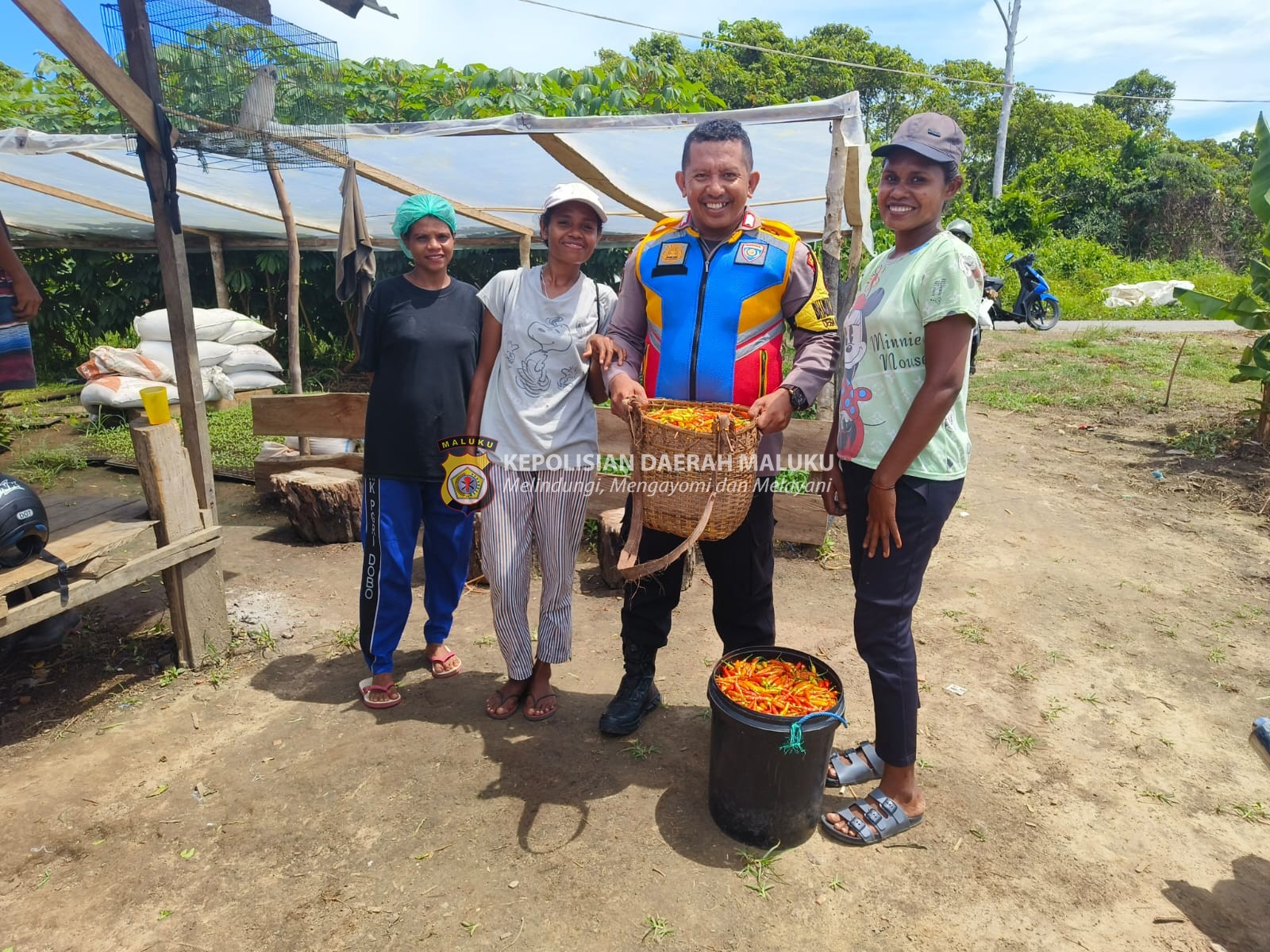 Bhabinkamtibmas Desa Durjela Bantu Warga Panen Cabai.