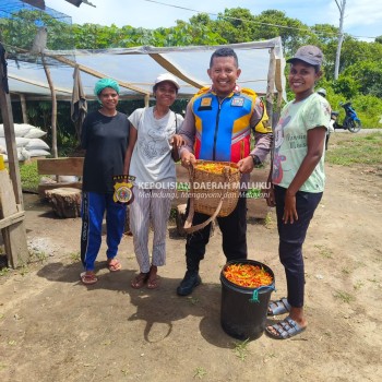 Bhabinkamtibmas Desa Durjela Bantu Warga Panen Cabai.