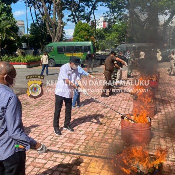 Polresta Ambon Ikut Musnahkan Babuk 110 Perkara