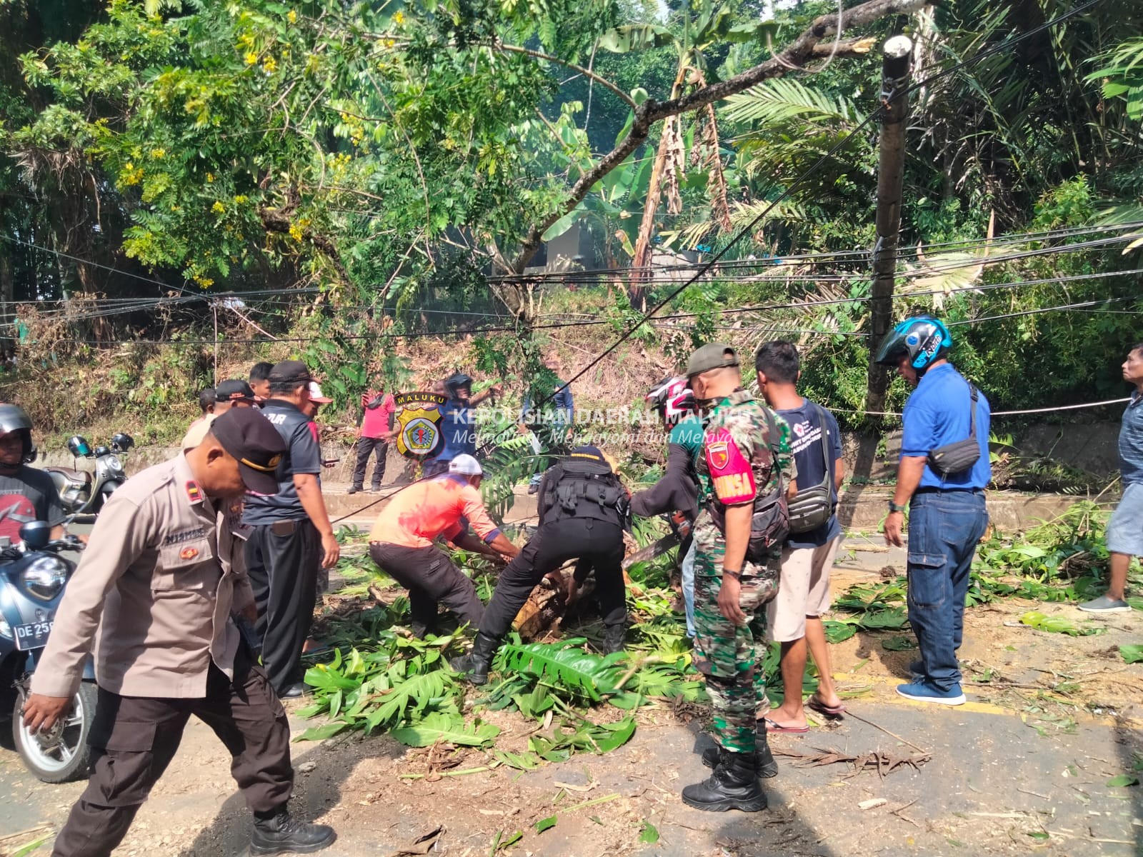 Personil Gabungan TNI-Polri di Bergotong Royong Bersihkan Pohon Tumbang