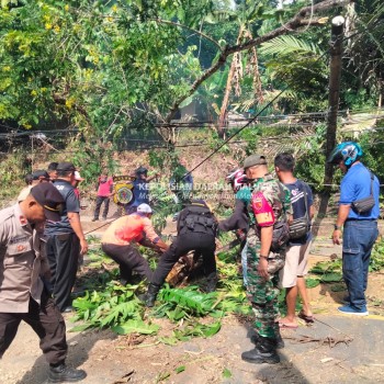 Personil Gabungan TNI-Polri di Bergotong Royong Bersihkan Pohon Tumbang