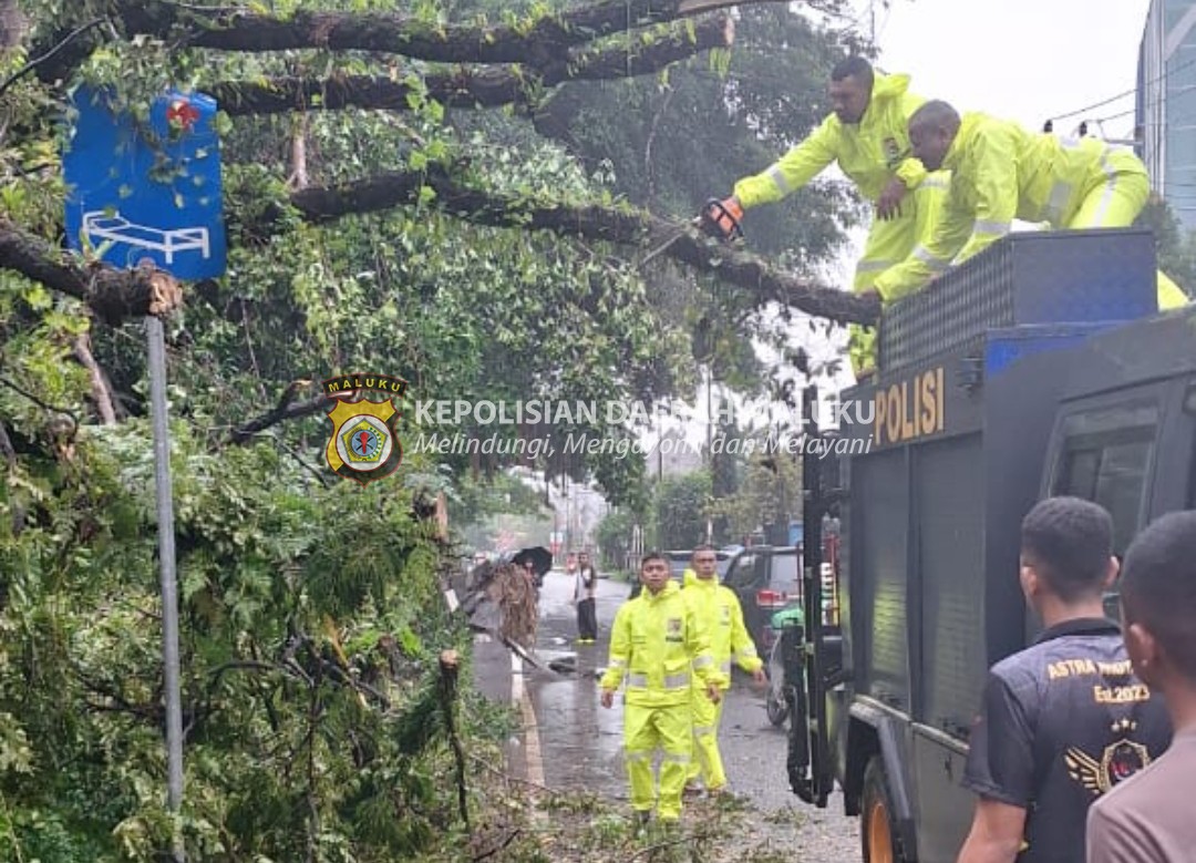 Personel Polda Maluku Atasi Pohon Tumbang di Depan Kantor KPU Maluku