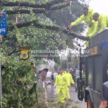 Personel Polda Maluku Atasi Pohon Tumbang di Depan Kantor KPU Maluku