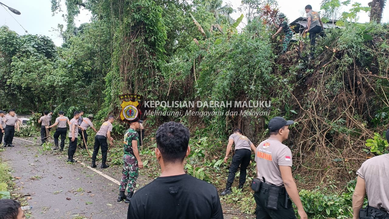 Brimob Polda Maluku Gelar Kerja Bakti Bersama Batalyon 733 Masariku dan Masyarakat di Negeri Kariuw Menjelang Peringatan HUT Ke-79 RI