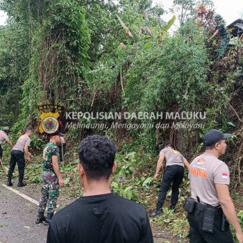 Brimob Polda Maluku Gelar Kerja Bakti Bersama Batalyon 733 Masariku dan Masyarakat di Negeri Kariuw Menjelang Peringatan HUT Ke-79 RI