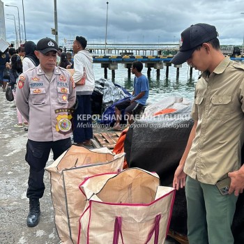 Polsubsektor Kawasan Pelabuhan Polres Kepulauan Aru Berhasil Amankan Penyeludupan Hewan Di lindungi.