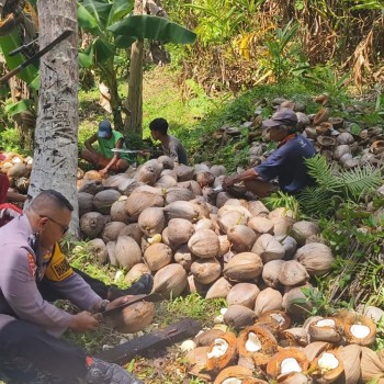 Sebagai Bentuk Kedekatan Humanis Dengan Masyarakat, Bhabinkamtibmas Desa Durjela Membantu Warga Binaan Membuat Kopra