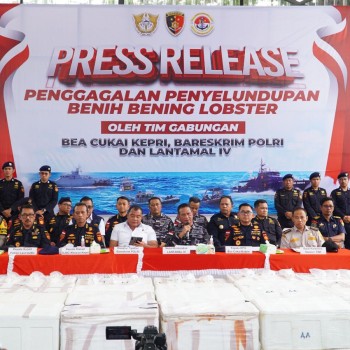 Konferensi Pers Penyeludupan Benih Bening Lobster Sebanyak 237.305 Benih Bening Lobster Senilai 23,6 Miliar Rupiah