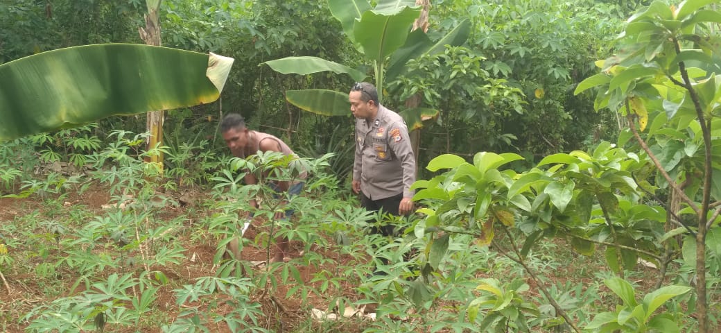 Bhabinkamtibmas Monitoring Kampung Tangguh Nusantara 