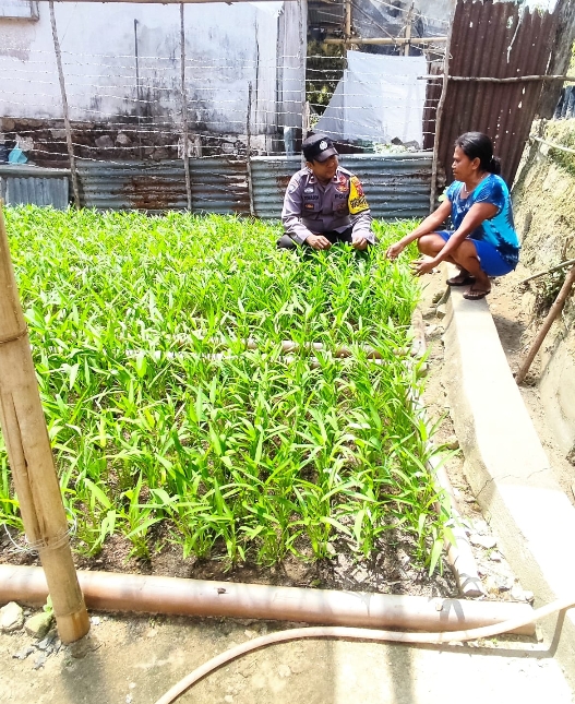 Bhabinkamtibmas Negeri Ema memonitoring Kampung Tangguh Nusantara 