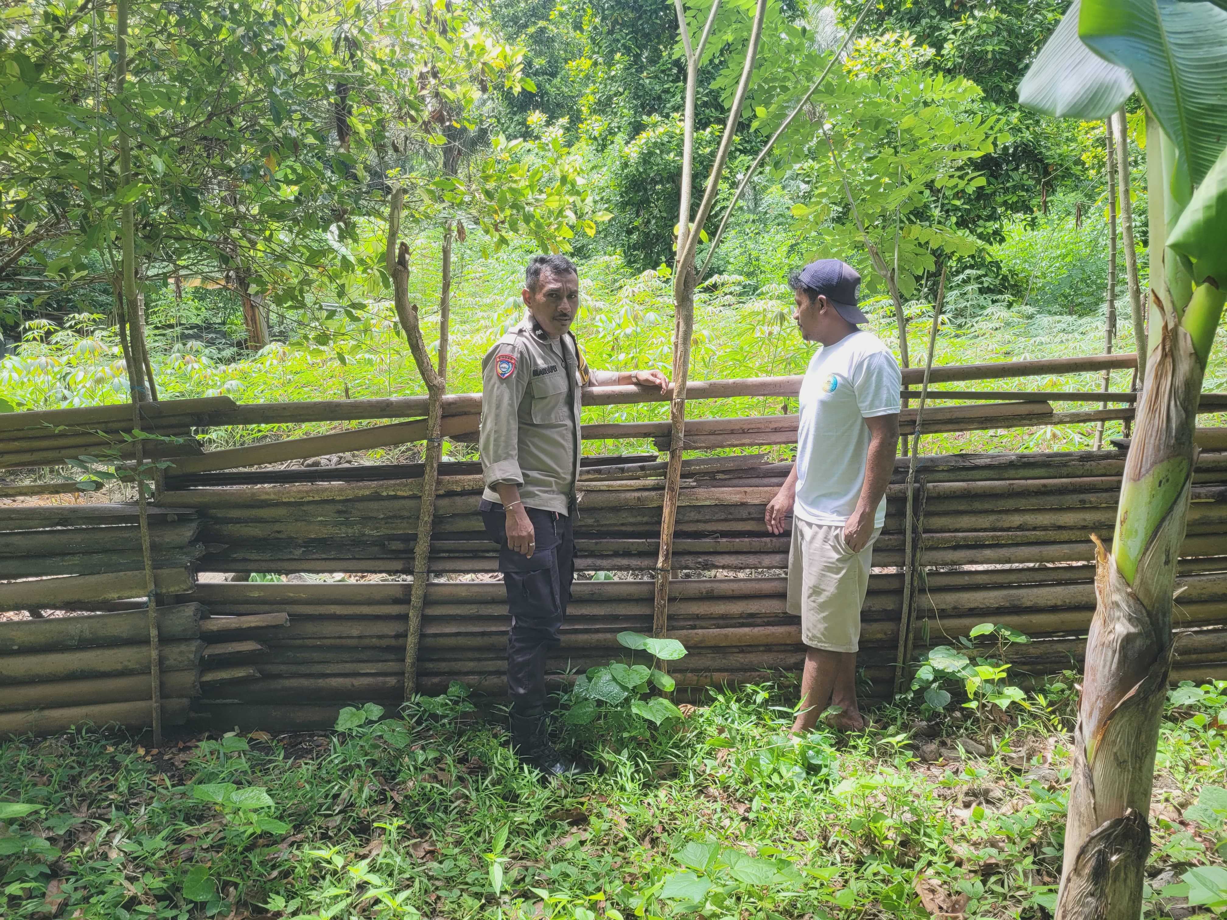 Bhabinkamtbimas Monitoring Program Ketahanan Pangan Kampung Tangguh Nusantara “Sagu” di Negeri Mamala, Dukung Perekonomian Warga