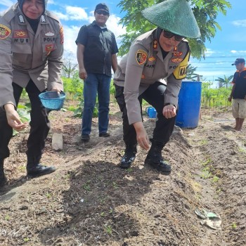 Kapores Buru Dukung Program Asta Cita Penanaman 1000 Bibit Sayur