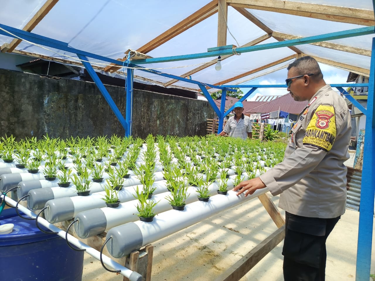 Bhabinkamtibmas Negeri Siri Sori Islam Dukung Pemberdayaan Pekarangan Pangan Melalui Kunjungan ke Kebun Hidroponik