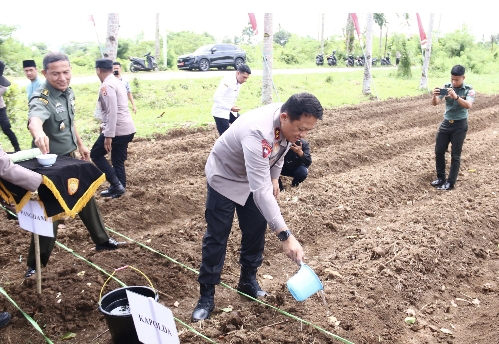 Dukung Program Ketahanan Pangan, Kapolda Maluku Pimpin Penanaman 3000 Bibit Jagung di Dusun Hulung