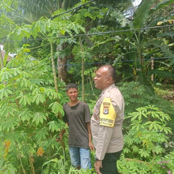 Bhabinkamtibmas Negeri Wakasihu Dorong Ketahanan Pangan di Kampung Tangguh Nusantara "Sagu"