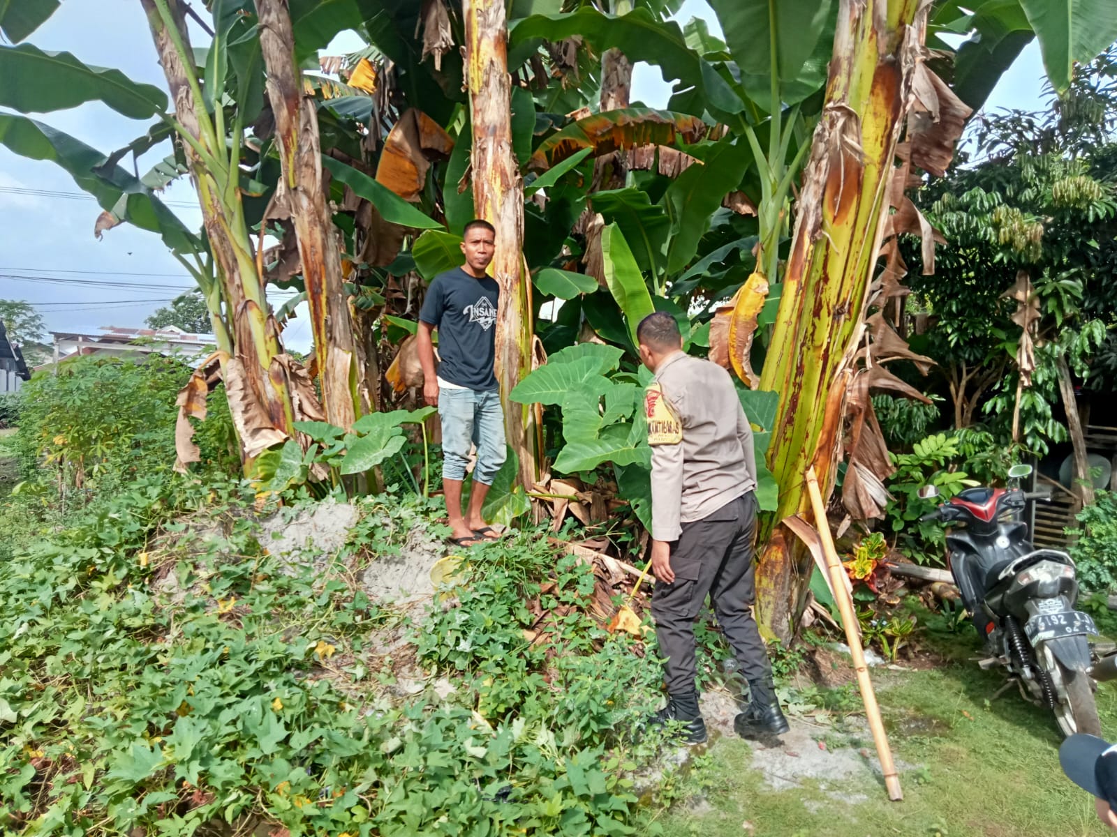 Bhabinkamtibmas Polsek Leihitu Dorong Kemandirian Pangan di Kampung Tangguh Nusantara 
