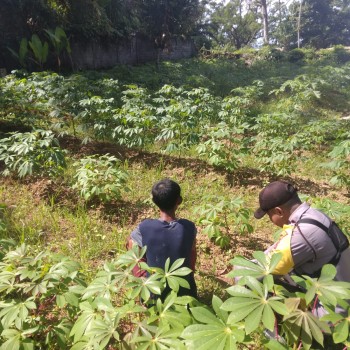 Bhabinkamtibmas Negeri Ema Dorong Ketahanan Pangan Melalui Program Kampung Tangguh Nusantara 