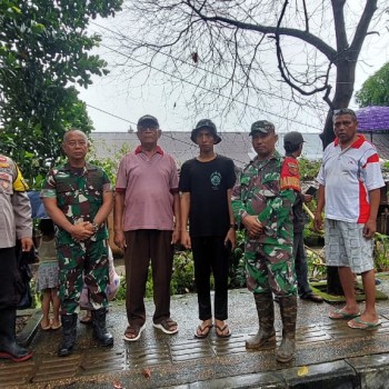 Polsek Nusaniwe Bergerak Cepat Tangani Musibah Pohon Tumbang di Kompleks Asmil OSM