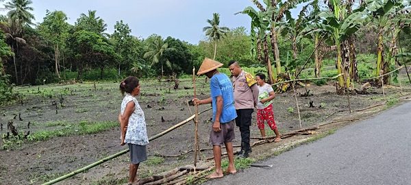 Dukung ketahanan pangan Nasional, Bhabinkamtibmas Wowonda bagikan bibit sayur