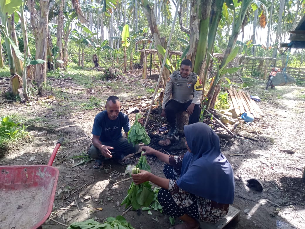 Dukung Program Asta Cita Presiden RI, Bhabinkamtibmas Polsek Namrole Ajak Warga Tanam Tanaman Bergizi