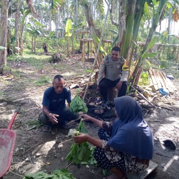 Dukung Program Asta Cita Presiden RI, Bhabinkamtibmas Polsek Namrole Ajak Warga Tanam Tanaman Bergizi