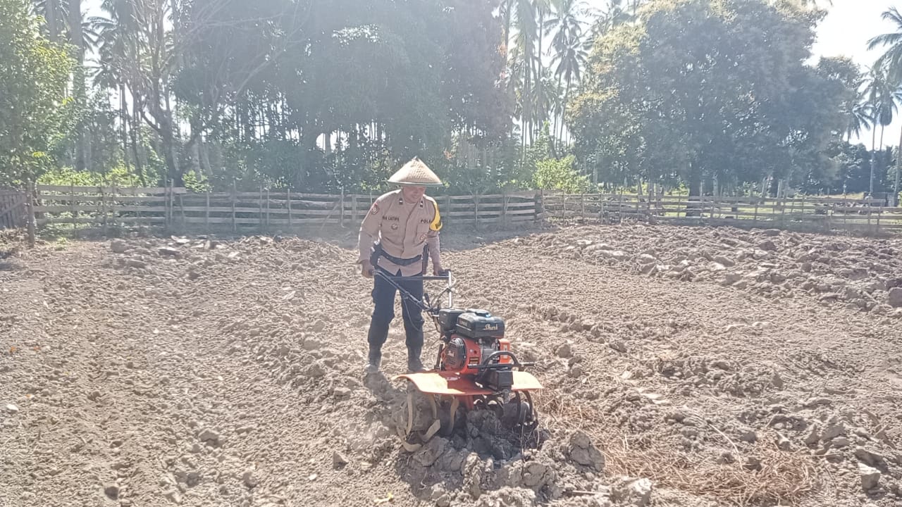 Dukung Asta Cita Bhabinkamtibmas Polsek Namrole gerakkan Program Pekarangan Pangan Bergizi