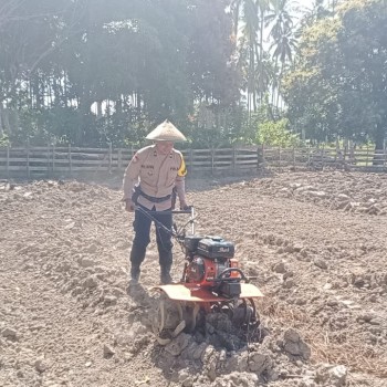 Dukung Asta Cita Bhabinkamtibmas Polsek Namrole gerakkan Program Pekarangan Pangan Bergizi