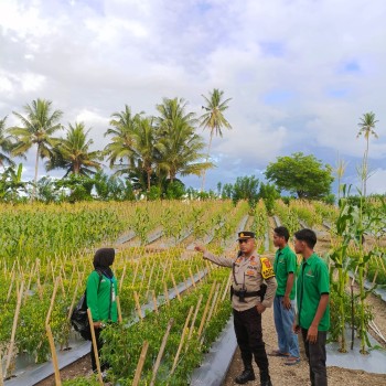 Polsek Waesama Dukung Program ASTA CITA Presiden Melalui Pengecekan Pekarangan Bergizi Di SMK Negeri 6 Buru Selatan