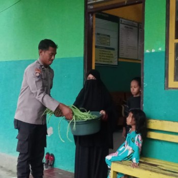 Sukses Panen Sayuran Dukung Program Ketahanan Pangan Nasional Bagi Kepada Masyarakat