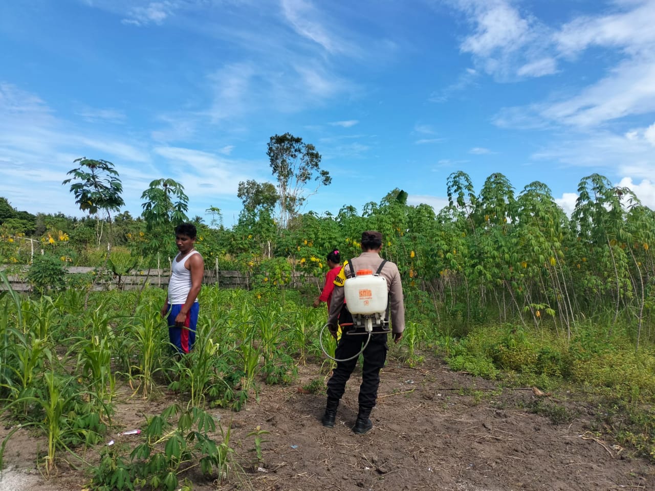 Sukseskan Program Asta Cita Pemerintah, Bhabinkamtibmas Polsek Kepala Madan Beri Pendampingan Kepada Petani Jagung dan Singkong