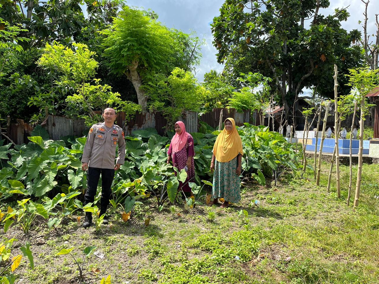 Bhabinkamtibmas Polsek Dullah Selatan Dusun Fair Siapkan Lahan Dukung Ketahanan Pangan