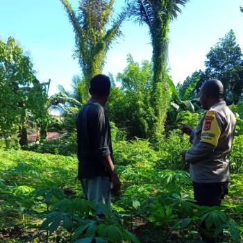 Monitoring Kampung Tangguh Nusantara "Sagu" Negeri Kariu: Upaya Meningkatkan Ketahanan Pangan dan Keamanan Lingkungan