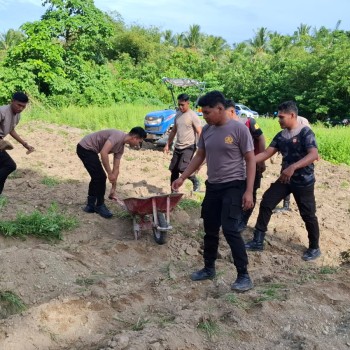 Polres Buru Selatan Dukung Program Penanaman Jagung Satu Juta Hektar