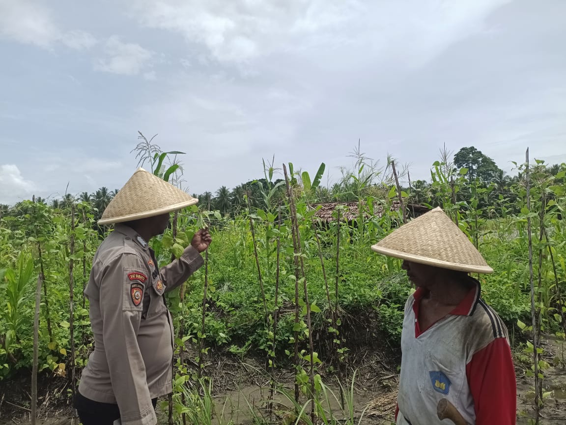 Dukungan Program Ketahanan Pangan Nasional Bhabinkamtibmas Polsek Waesama Ajak Warga Manfatkan Lahan Pekarangan