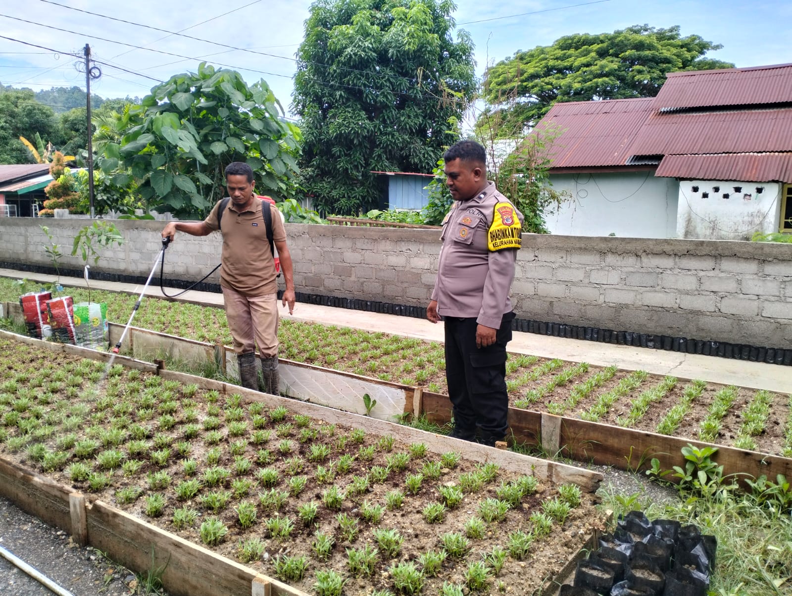 Bhabinkamtibmas Kelurahan Namaelo Aipda AlkatiriKunjungi Warga yang Memanfaatkan Pekarangan untuk Ketahanan Pangan