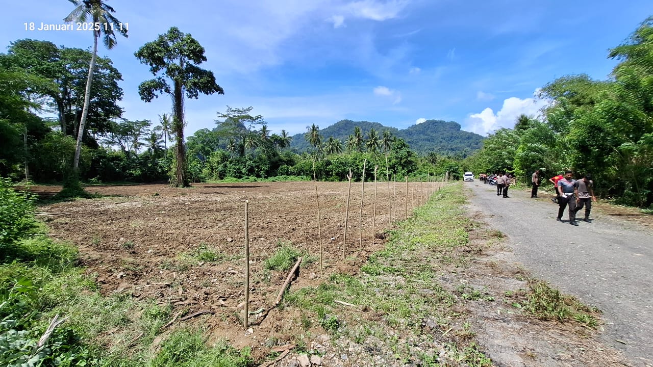 Menjelang Penanaman Jagung serentak, Polres Buru Selatan Terus Siapkan Lahan.