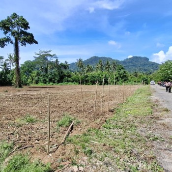 Menjelang Penanaman Jagung serentak, Polres Buru Selatan Terus Siapkan Lahan.