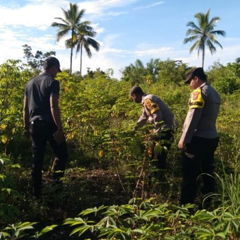 Dukung Ketahanan Pangan Bhabinkamtibmas Desa Siwar melaksanakan pembersihan lahan bersama Masyarakat