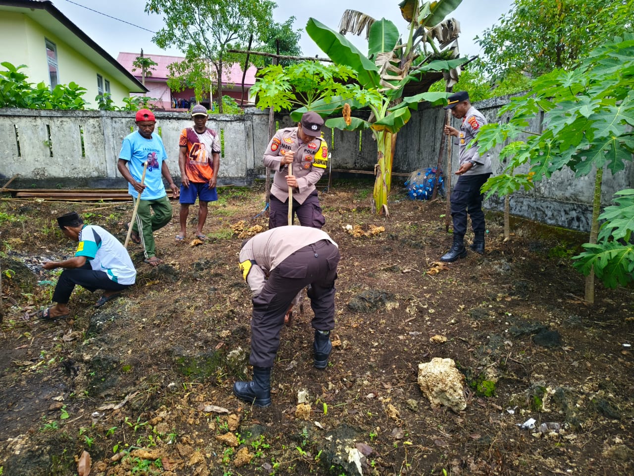 Dukung Program Asta Cita Presiden, Polsek Ambalau Tanam Jagung di Pekarangan Mapolsek