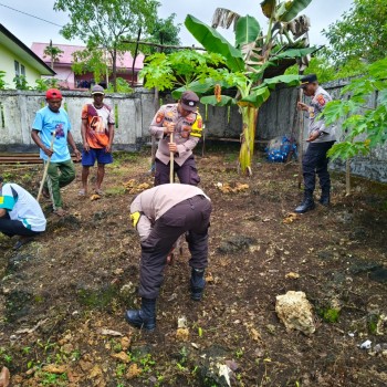 Dukung Program Asta Cita Presiden, Polsek Ambalau Tanam Jagung di Pekarangan Mapolsek