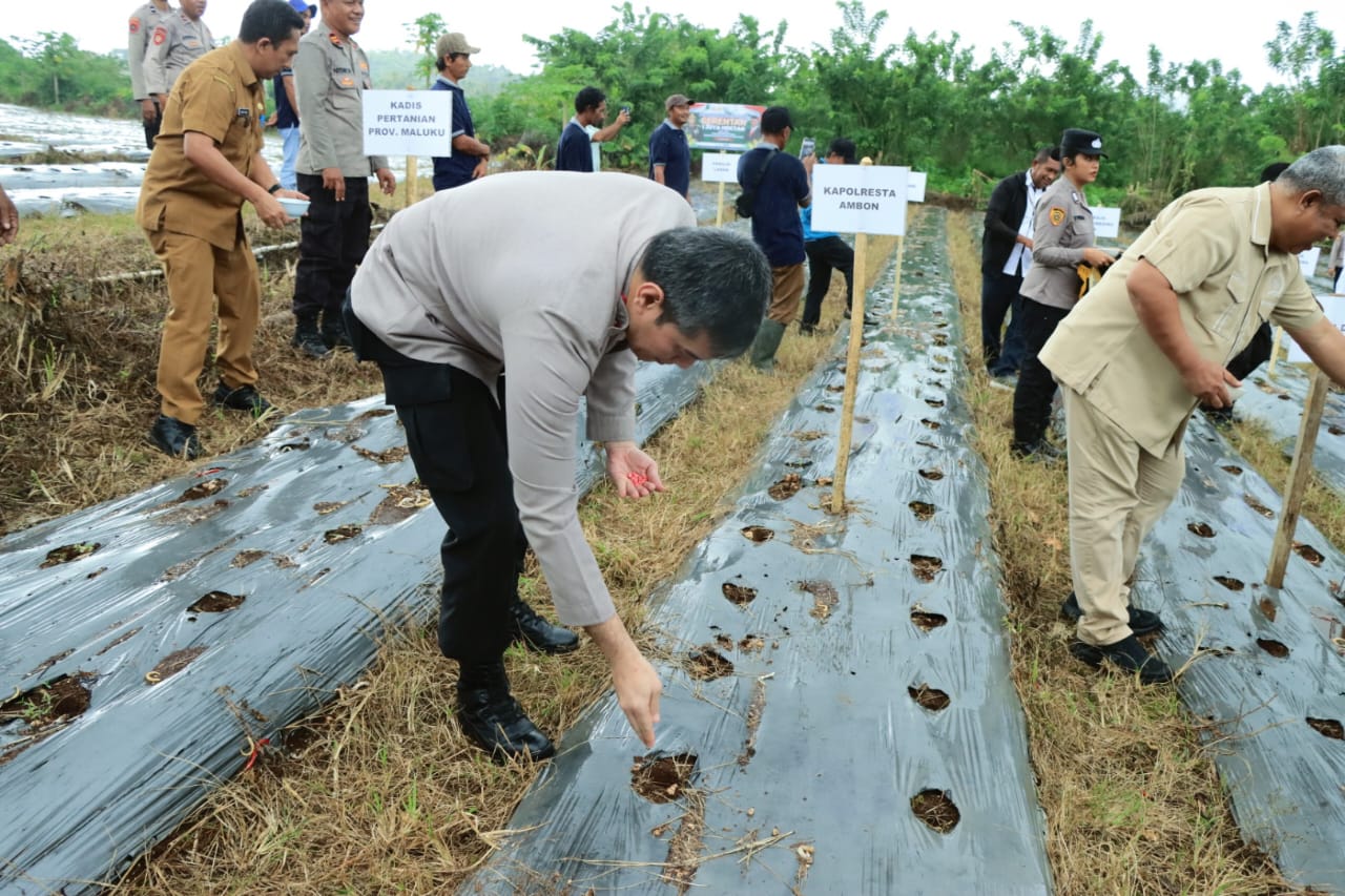 Kapolresta AMbon Hadiri Penanaman Jagung Serentak 1 Juta Hektar