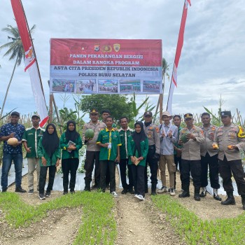 Polres Buru Selatan Laksanakan Panen Raya Bersama Masyarakat Dalam Mendukung Program Ketahanan Pangan