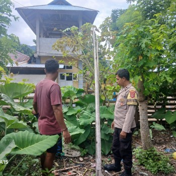 Bhabinkamtibmas Negeri Kaitetu Sambangi Kampung Tangguh Nusantara “Sagu”, Dorong Ketahanan Pangan dan Kamtibmas