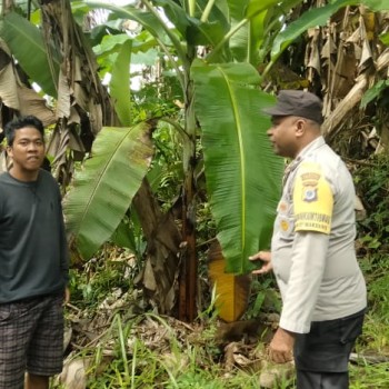 Bhabinkamtibmas Negeri Wakasihu Sambangi Salah satu Kampung Tangguh Nusantara “Sagu”, Ajak Warga Jaga Kamtibmas dan Ketahanan Pangan